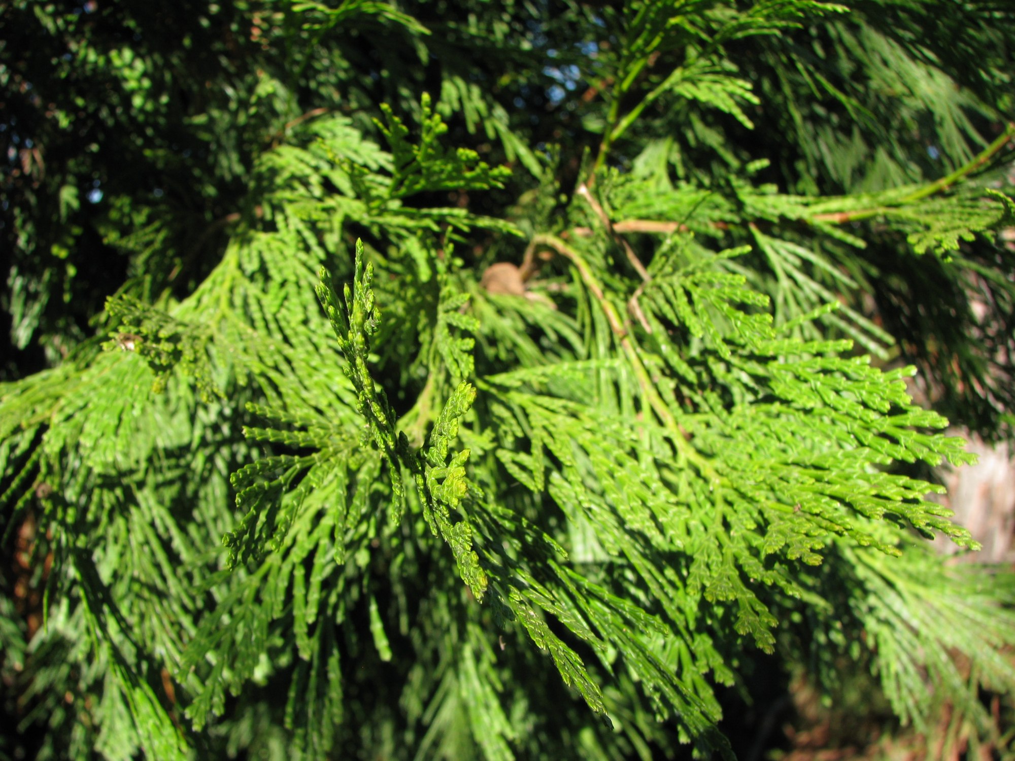 Plant Communities Environmental Nature Center